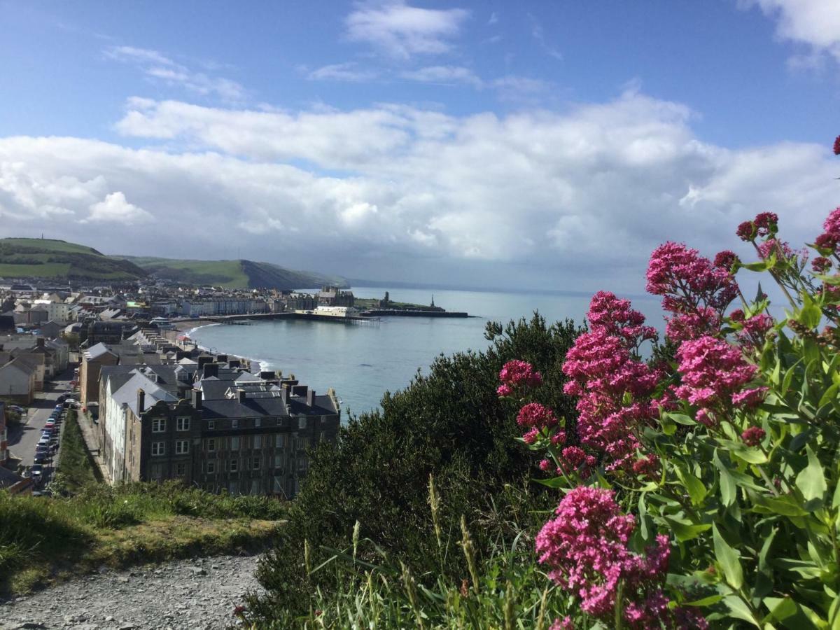 Cardigan Bay Self Catering Accommodation Aberystwyth Exterior foto